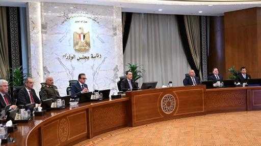 مجلس الوزراء يُخصص 3 قطع أراضي لمواني البحر الأحمر