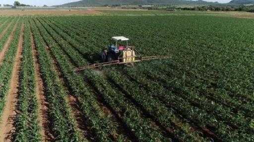 مجلس الوزراء يُقر بفسخ التعاقد مع غير الملتزمين بسداد أقساط أراضي ”التنمية الزراعية”