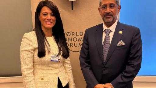 وزيرة التخطيط تُناقش مع ”المصرف العربي” تمويل التجارة والمشروعات في إفريقيا