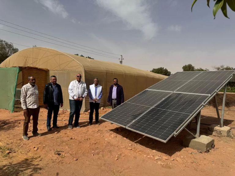 جانب من الجولة