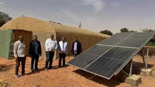 بحوث الصحراء: محطة توشكى تنتج فسائل النخيل باستخدام تقنية زراعة الأنسجة