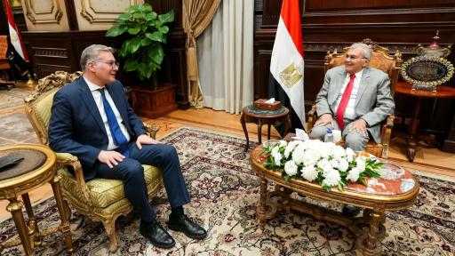 وزير البترول يتطلع إلى التعاون مع مجلس الشيوخ لتهيئة مناخ جاذب للاستثمار