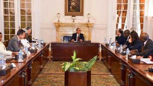 وزير الخارجية: التكامل الاقتصادي والتنمية هما ركيزة مركزية في سياسة مصر تجاه إفريقيا