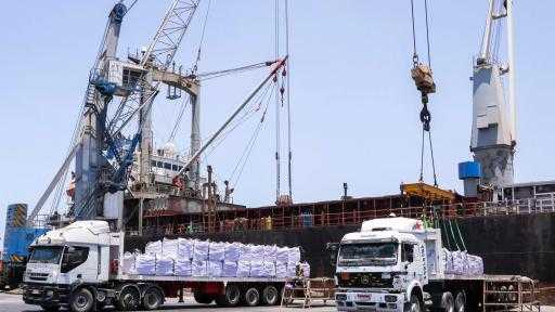 تضم ذرة وقمح وحديد.. ميناء دمياط يستقبل 49426 طنًا من البضائع