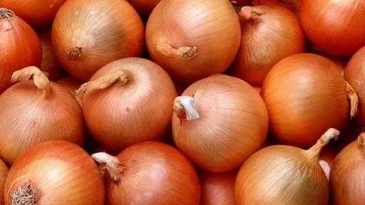 وزير الزراعة: فتح سوق الأوروجواي أما محصولي البصل والثوم