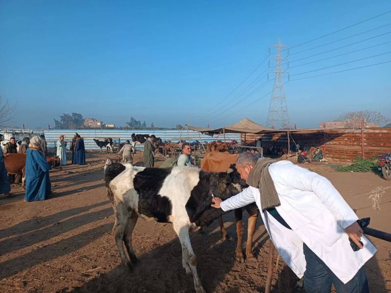 جانب من الحملات