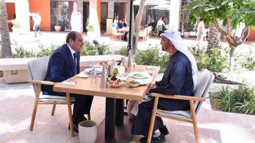 الرئيس السيسي يؤكد على انفتاح مصر على تلقي المزيد من الاستثمارات الإماراتية