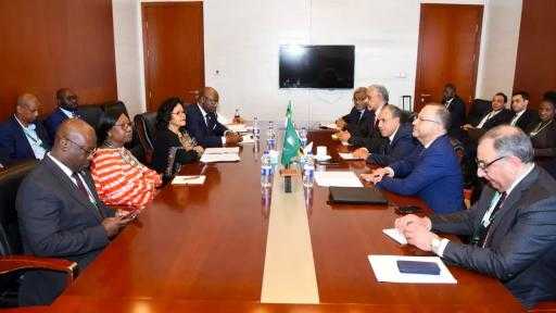 وزير الخارجية: مصر تولي أولوية خاصة لدعم التكامل القاري وتعزيز التعاون مع التجمعات الاقتصادية الإقليمية