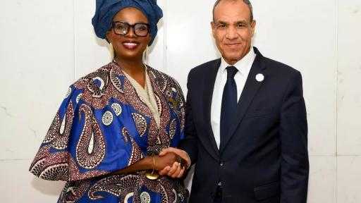 وزير الخارجية يُناقش التعاون مع الاتحاد الإفريقي بمجالي البنية التحتية والطاقة