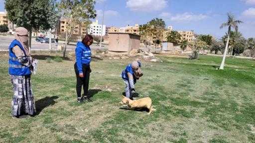 ”الخدمات البيطرية” تُحصن 21.9 ألف كلب وتعقم 1875 كلبًا منذ يناير