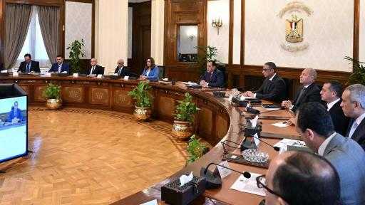 أمن قومي.. رئيس الوزراء: إجراءات تنفيذية موحدة لمواجهة التعديات على الأراضي الزراعية
