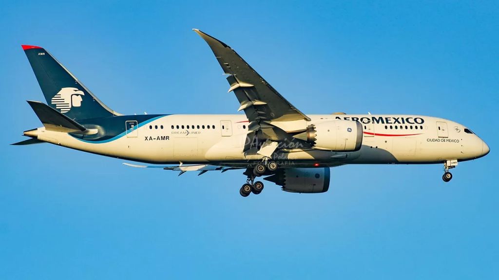 شركات طيران دولية تلغي رحلاتها من وإلى المكسيك