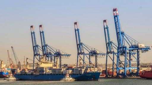 تضم قمح وذرة وماشية.. ميناء دمياط يستقبل 43232 طنًا من البضائع
