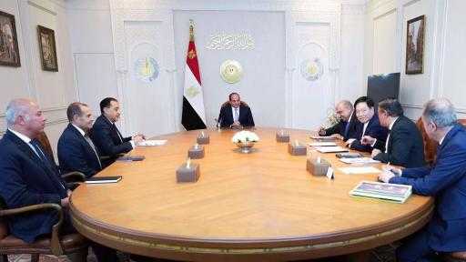 الرئيس السيسي يبحث مع شركة GCL الصينية التعاون بمجال الطاقة المتجددة الرئيس السيسي يبحث مع شركة GCL الصينية التعاون بمجال الطاقة المتجددة