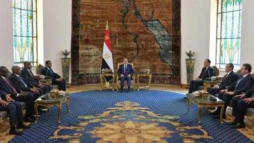 الرئيس السيسي: اللجنة التنسيقية العليا لموضوعات المياه بين مصر والسودان إطارًا مهمًا لضمان مصالح الشعبين