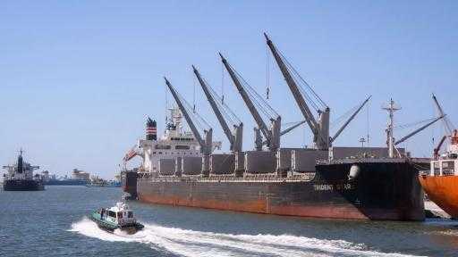 تضم ذرة وزيت وماشية.. ميناء دمياط يستقبل 28220 طنًا من البضائع