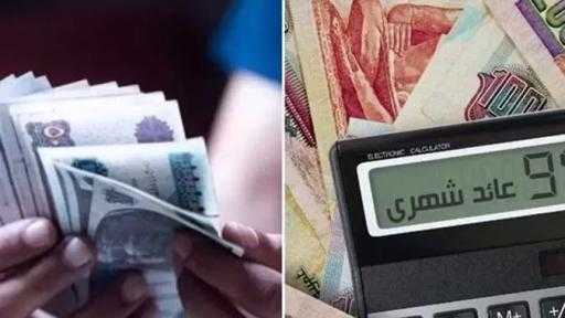 أعلى شهادات الادخار الشهرية في 14 بنكًا بعائد يصل إلى 21%.. تفاصيل