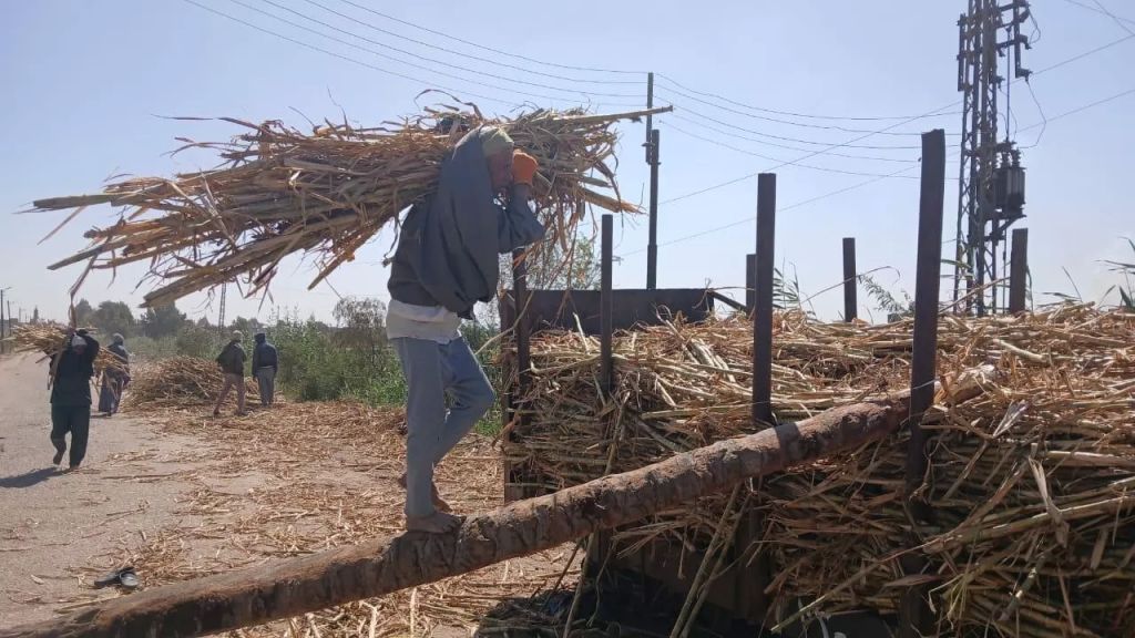 إزالة التعديات