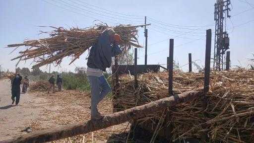 ”الإصلاح الزراعي” يزيل 119 حالة تعدي على الأراضي الزراعية وأملاك الدولة خلال فبراير