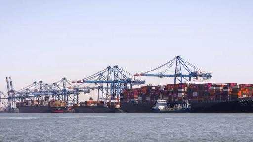 تضم قمح وذرة وزيت.. ميناء دمياط يستقبل 32307 أطنان من البضائع