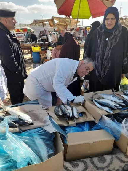 جانب من المضبوطات