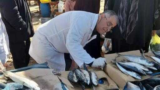 ”الخدمات البيطرية” تضبط 310 أطنان لحوم ودواجن وأسماك غير مطابقة للاشتراطات الصحية