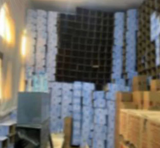 جانب من المضبوطات