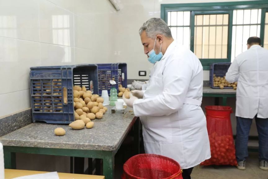 جانب من الفحص