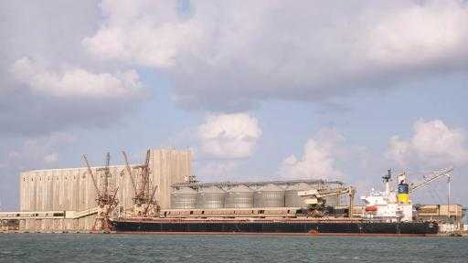 ميناء دمياط يستقبل 55 ألف طن من القمح الروسي لصالح القطاع العام