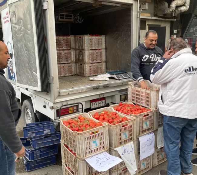 سيارات الشركة 