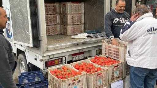 ”الصناعات الغذائية” تدفع بسيارات متنقلة لطرح الطماطم بأسعار مخفضة| صور