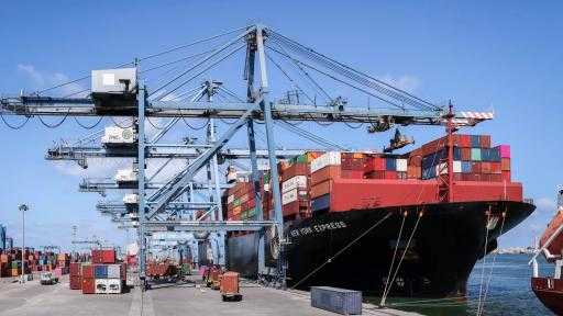 تضم ذرة وقمح وحديد.. ميناء دمياط يستقبل 27590 طنًا من البضائع