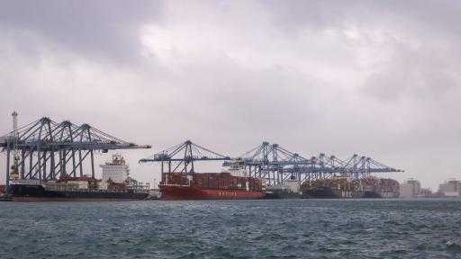 تضم قمح ومولاس.. ميناء دمياط يستقبل 11319 طنًا من البضائع