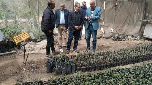 ”الزراعة”: التوسع في إنتاج التقاوي يمثل ركيزة أساسية في استراتيجية الدولة لخفض فاتورة الاستيراد