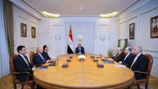 الرئيس السيسي يؤكد على أهمية حماية الاقتصاد المصري من الآثار الناجمة عن الممارسات الضارة في التجارة الدولية