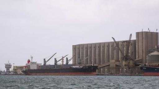ميناء دمياط يستقبل 57.5 ألف طن من القمح الفرنسي لصالح القطاع العام