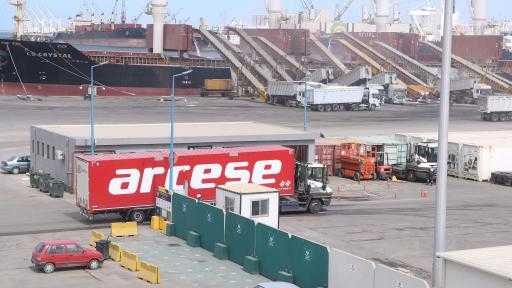 ميناء دمياط تُدشن خدمة جديدة لنقل الشحنات المبردة والجافة إلى الخليج| صور