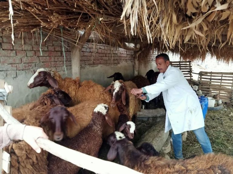 جانب من الحملة