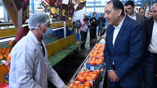 رئيس الوزراء يتفقد محطة لفرز وتعبئة وتصدير الموالح والحاصلات الزراعية ببنها| صور