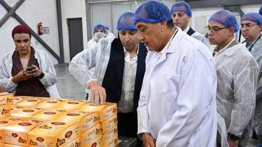 وزير الاستثمار: ننتج 19% من الإنتاج العالمي للتمور بإجمالي يتجاوز 1.8 مليون طن سنويًا