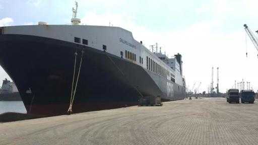 تضم قمح وذرة وماشية.. ميناء دمياط يستقبل 30690 طنًا من البضائع