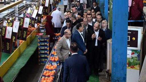 وزير الاستثمار: الحاصلات الزراعية عنصر رئيسي في استراتيجية الدولة لزيادة الصادرات