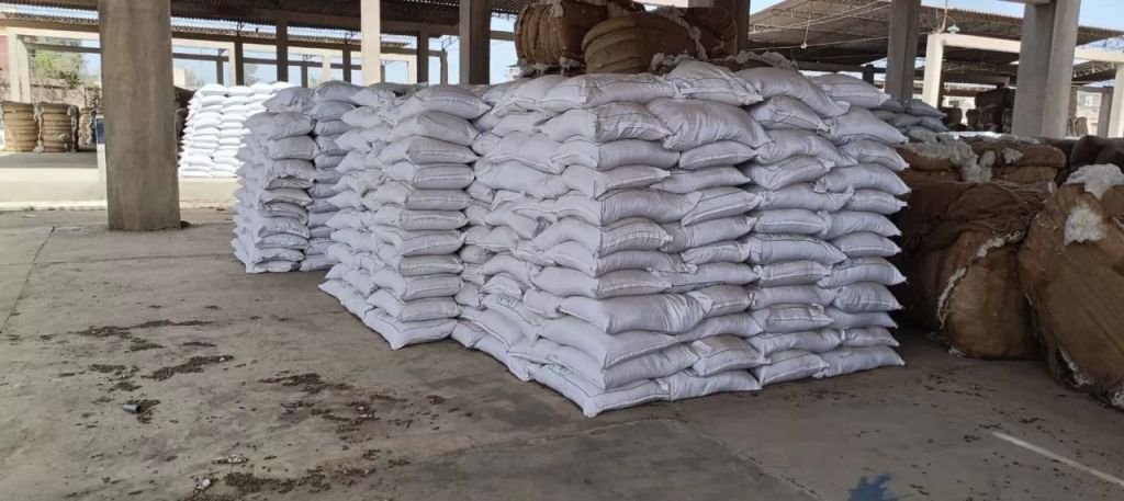 جانب من التقاوي