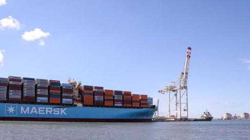 تضم قمح وذرة زيت.. ميناء دمياط يستقبل 54504 أطنان من البضائع