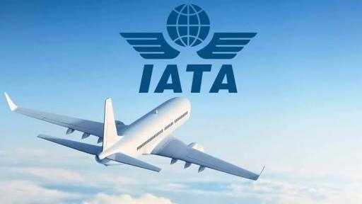 ينطلق 19 مايو.. القاهرة تستضيف مؤتمر ”إياتا” لخدمات المناولة الأرضية