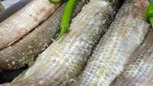 ”الزراعة” تنشر حزمة من الإرشادات الوقائية للمواطنين قبل شراء الرنجة والفسيخ| إنفوجراف