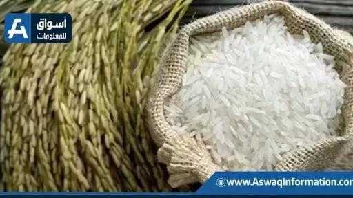 سعر الأرز اليوم الإثنين عند التاجر.. بكام طن الشعير؟
