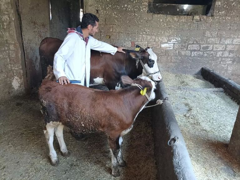 جانب من جهود الهيئة