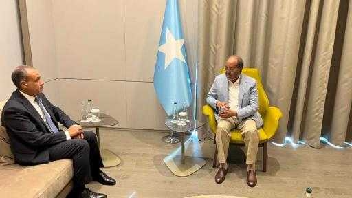 وزير الخارجية: نحرص على توسيع نطاق تصدير المنتجات المصرية إلى السوق الصومالي