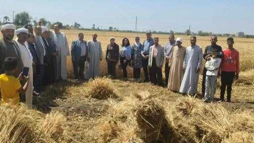 ”الزراعة” تتابع موسم حصاد وتوريد القمح بالفيوم